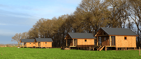 Acker Lodges Ruinerwold